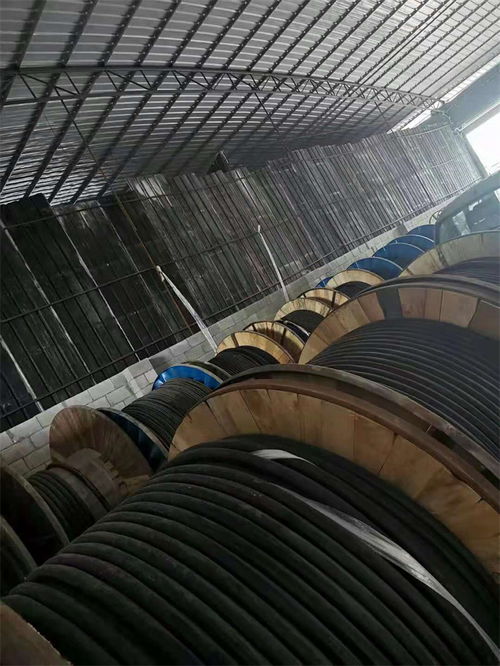 柳州正规高低压电缆厂家知名产品